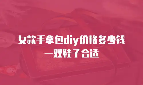 女款手拿包diy价格多少钱一双鞋子合适