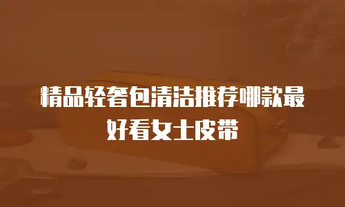 精品轻奢包清洁推荐哪款最好看女士皮带