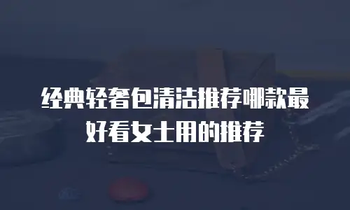 经典轻奢包清洁推荐哪款最好看女士用的推荐