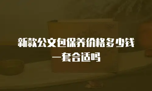 新款公文包保养价格多少钱一套合适吗