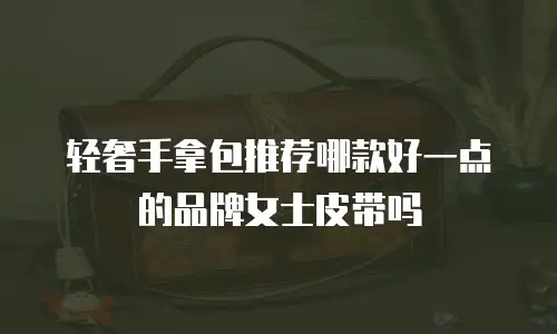 轻奢手拿包推荐哪款好一点的品牌女士皮带吗