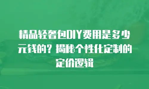 精品轻奢包DIY费用是多少元钱的？揭秘个性化定制的定价逻辑