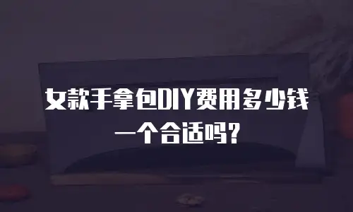 女款手拿包DIY费用多少钱一个合适吗？