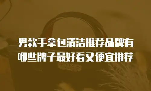 男款手拿包清洁推荐品牌有哪些牌子最好看又便宜推荐