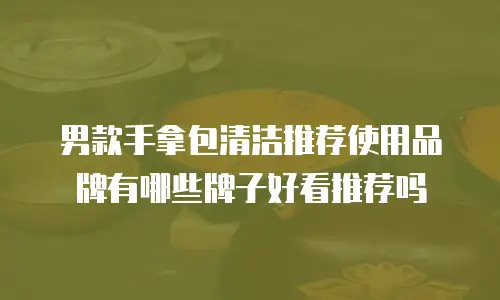 男款手拿包清洁推荐使用品牌有哪些牌子好看推荐吗