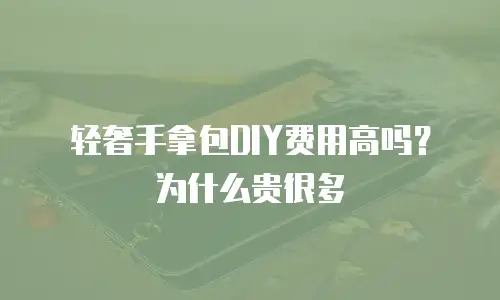 轻奢手拿包DIY费用高吗？为什么贵很多