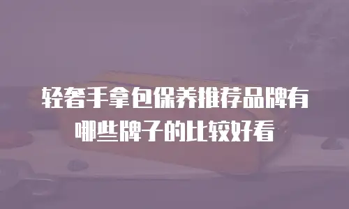 轻奢手拿包保养推荐品牌有哪些牌子的比较好看