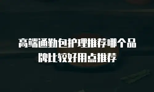 高端通勤包护理推荐哪个品牌比较好用点推荐