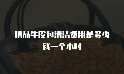 精品牛皮包清洁费用是多少钱一个小时