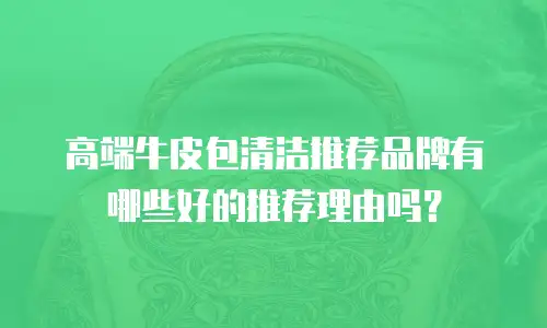 高端牛皮包清洁推荐品牌有哪些好的推荐理由吗？
