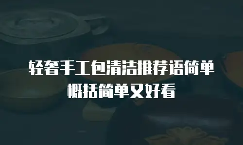 轻奢手工包清洁推荐语简单概括简单又好看