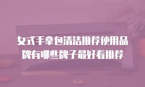 女式手拿包清洁推荐使用品牌有哪些牌子最好看推荐