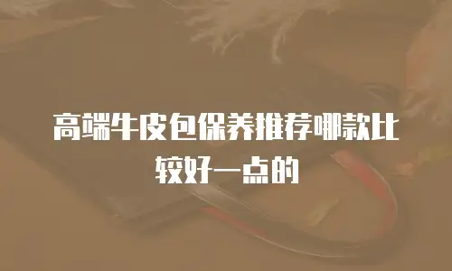 高端牛皮包保养推荐哪款比较好一点的