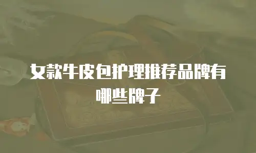 女款牛皮包护理推荐品牌有哪些牌子