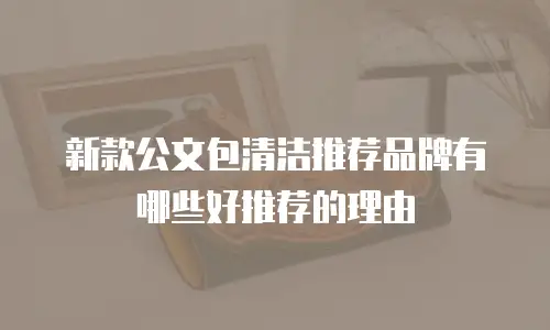新款公文包清洁推荐品牌有哪些好推荐的理由