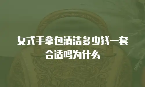 女式手拿包清洁多少钱一套合适吗为什么