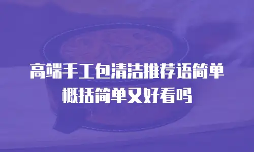 高端手工包清洁推荐语简单概括简单又好看吗