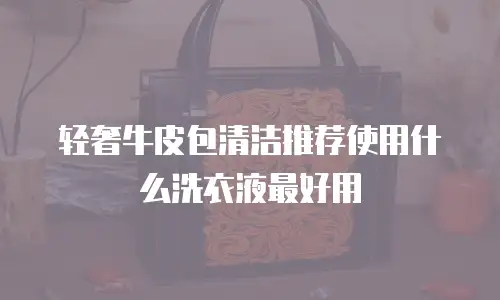轻奢牛皮包清洁推荐使用什么洗衣液最好用
