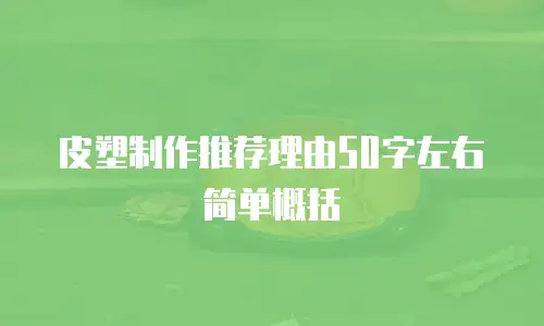 皮塑制作推荐理由50字左右简单概括