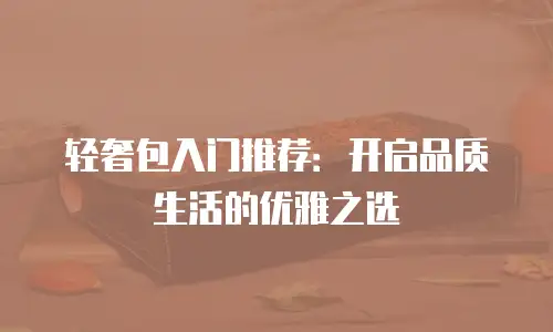 轻奢包入门推荐：开启品质生活的优雅之选