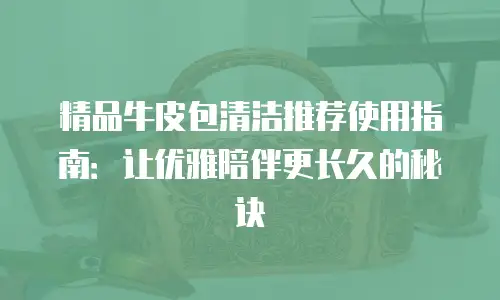 精品牛皮包清洁推荐使用指南：让优雅陪伴更长久的秘诀
