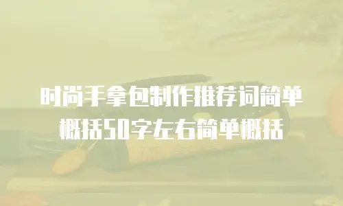 时尚手拿包制作推荐词简单概括50字左右简单概括