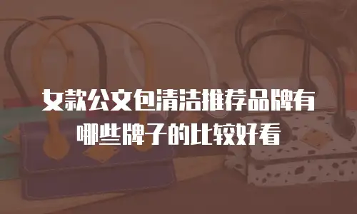 女款公文包清洁推荐品牌有哪些牌子的比较好看