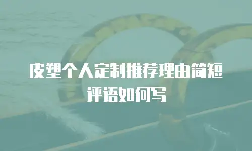 皮塑个人定制推荐理由简短评语如何写
