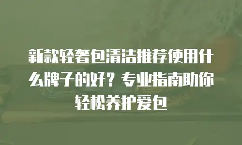 新款轻奢包清洁推荐使用什么牌子的好？专业指南助你轻松养护爱包