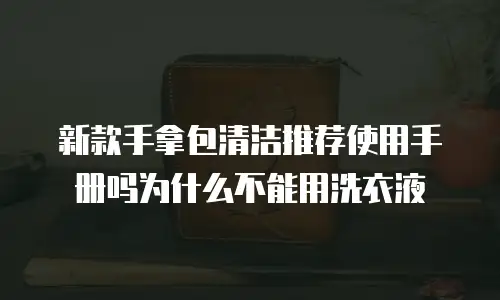 新款手拿包清洁推荐使用手册吗为什么不能用洗衣液