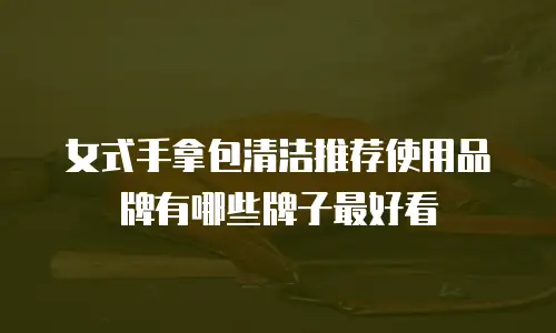 女式手拿包清洁推荐使用品牌有哪些牌子最好看