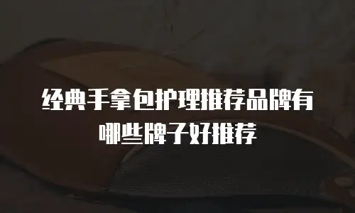 经典手拿包护理推荐品牌有哪些牌子好推荐