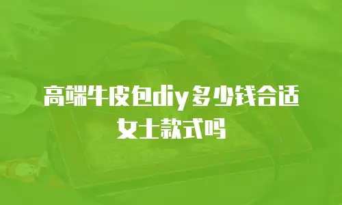 高端牛皮包diy多少钱合适女士款式吗