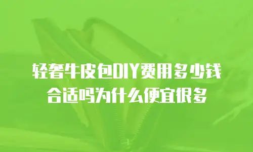 轻奢牛皮包DIY费用多少钱合适吗为什么便宜很多