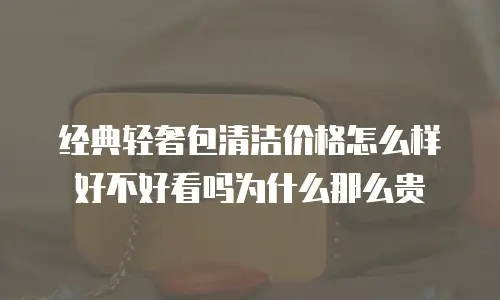 经典轻奢包清洁价格怎么样好不好看吗为什么那么贵