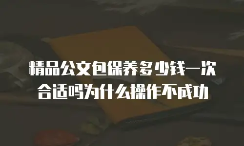 精品公文包保养多少钱一次合适吗为什么操作不成功
