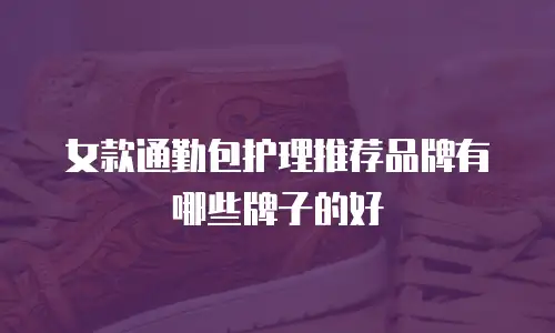 女款通勤包护理推荐品牌有哪些牌子的好