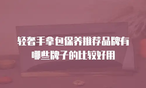 轻奢手拿包保养推荐品牌有哪些牌子的比较好用