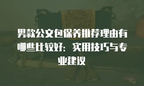 男款公文包保养推荐理由有哪些比较好：实用技巧与专业建议