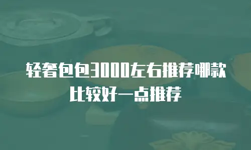 轻奢包包3000左右推荐哪款比较好一点推荐