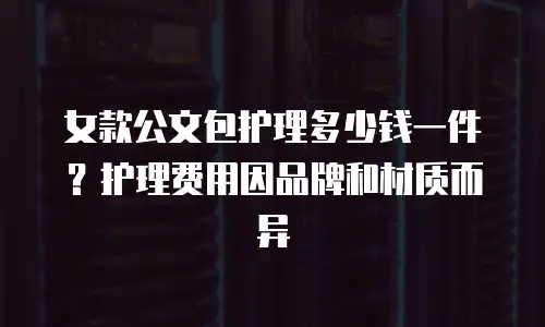 女款公文包护理多少钱一件？护理费用因品牌和材质而异
