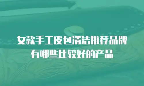 女款手工皮包清洁推荐品牌有哪些比较好的产品