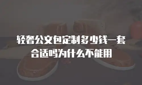 轻奢公文包定制多少钱一套合适吗为什么不能用