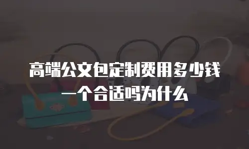 高端公文包定制费用多少钱一个合适吗为什么
