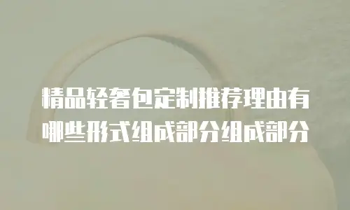 精品轻奢包定制推荐理由有哪些形式组成部分组成部分