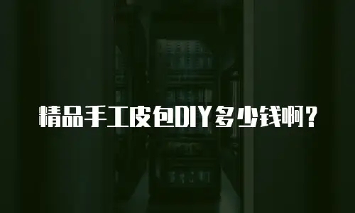 精品手工皮包DIY多少钱啊？