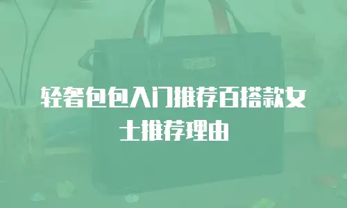 轻奢包包入门推荐百搭款女士推荐理由