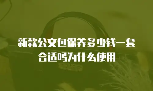 新款公文包保养多少钱一套合适吗为什么使用