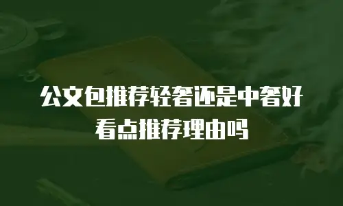 公文包推荐轻奢还是中奢好看点推荐理由吗