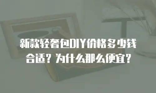新款轻奢包DIY价格多少钱合适？为什么那么便宜？